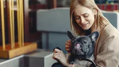 Flauschiger Psychologe: Bei welchen Problemen hilft ein Hund?