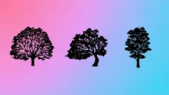 Psychologischer Test, der zeigt, was du an dir ändern solltest: Wähle einen der Bäume