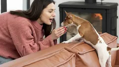 Warum Sie Ihren Hund vor dem Verlassen des Hauses streicheln sollten: Ein Tipp für alle Hundebesitzer