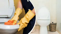Wie Sie die Toilette schnell von hartnäckigen Ablagerungen befreien: eine einfache Lösung mit Top-Ergebnis