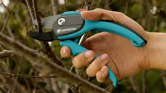 Garten ohne Probleme: Wie wählen Sie die richtige Gartenschere aus?